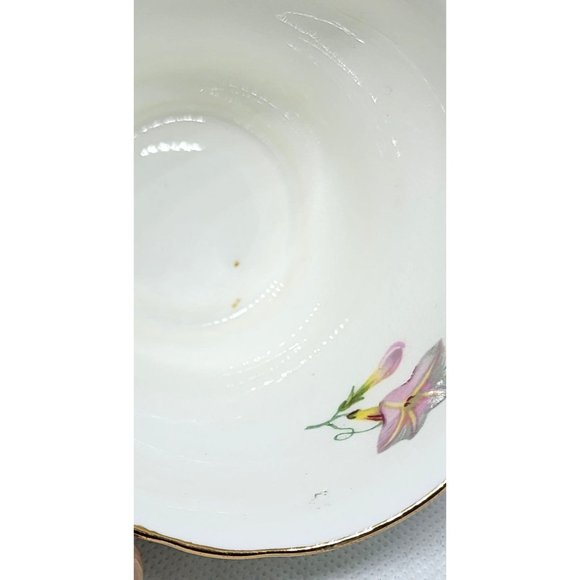 Regency Genuine Bone China Gold Trim Teacup: Rare Collectible Floral Design - Picture 13 of 14